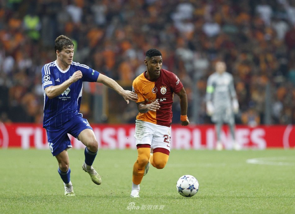 适应与调整 适应与调整